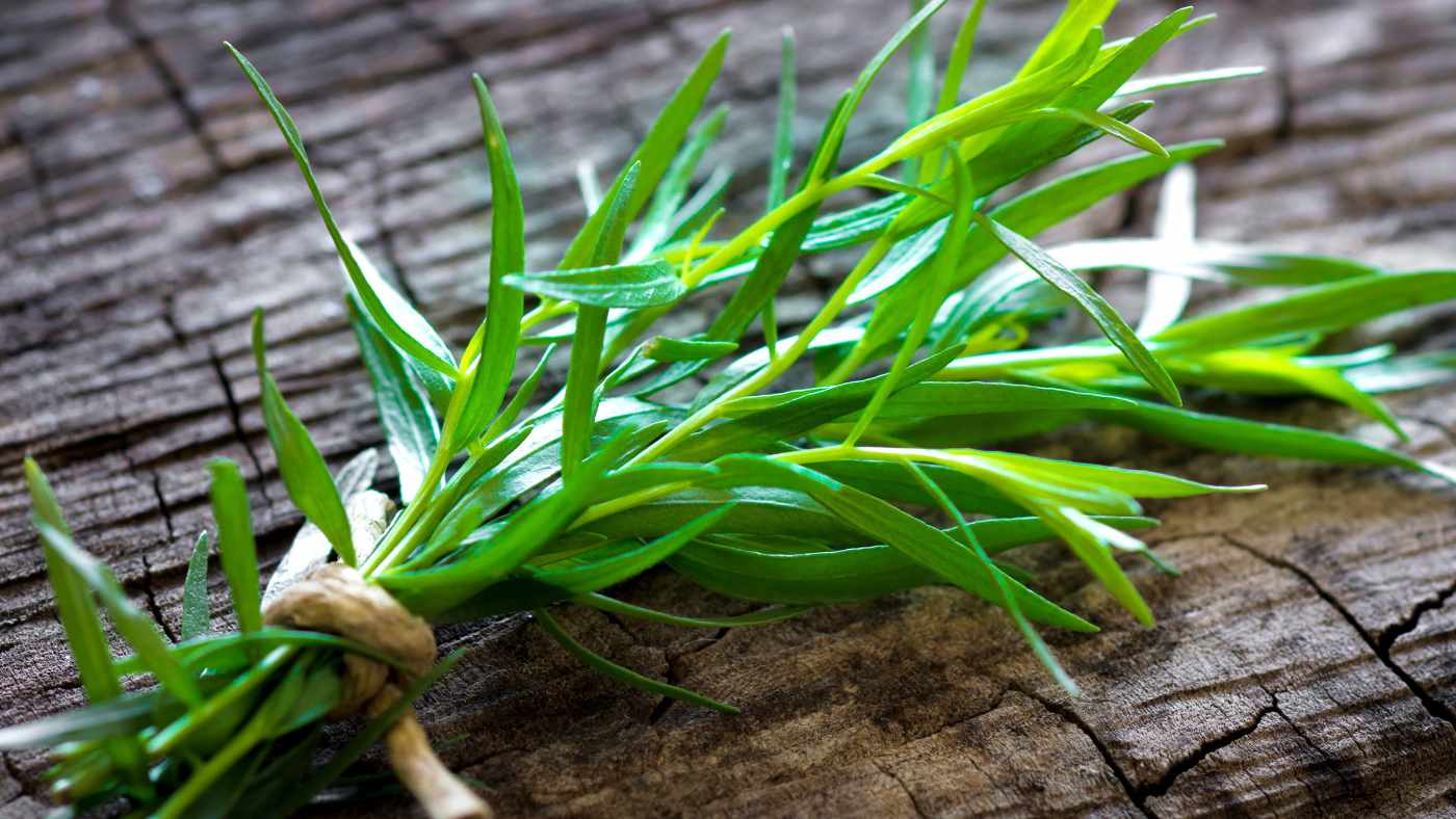 All About Tarragon: A Culinary Favorite with Health Benefits and a Rich History