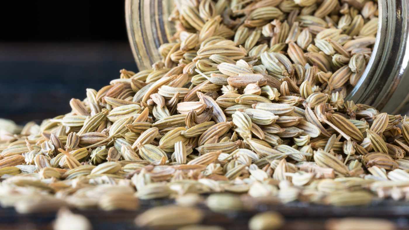 All About Fennel: A Culinary Gem with Health Benefits and Rich History