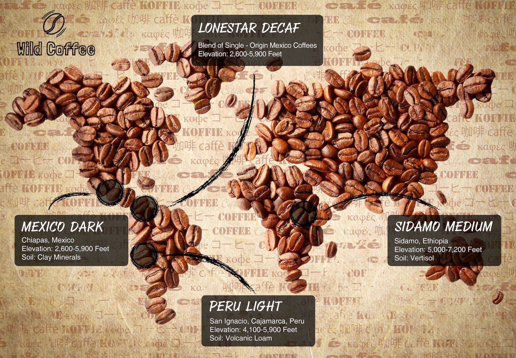 arabica-vs-robusta