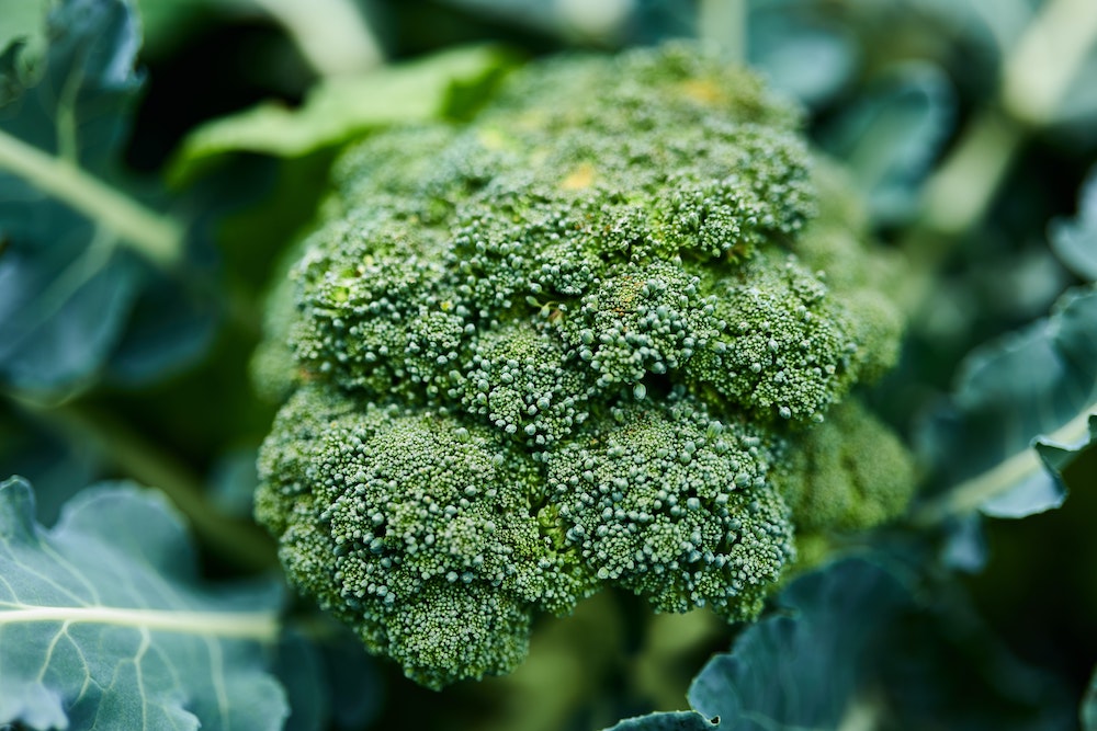 sulforaphane-benefits