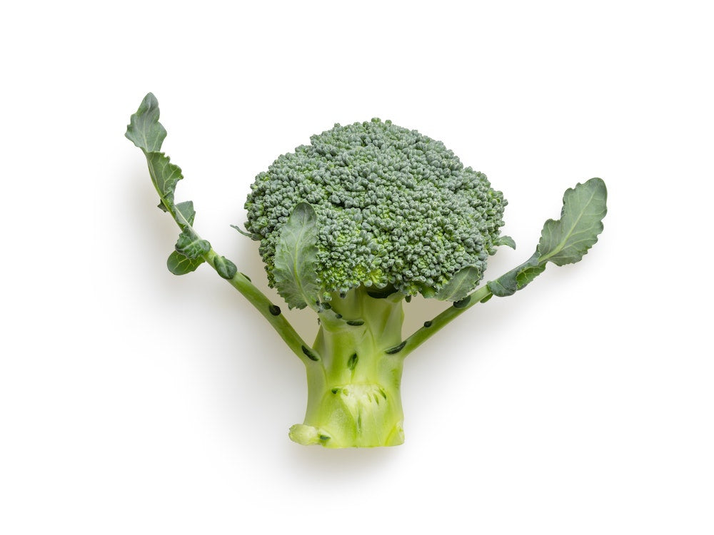 broccoli-nutrition-benefits