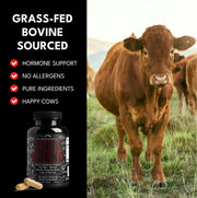 The Bull Blend: Beef Organ Complex For Hormone Support - Featuring Bovine Testicle, Prostate, Bone, Liver & Marrow Supplements Wild Foods   