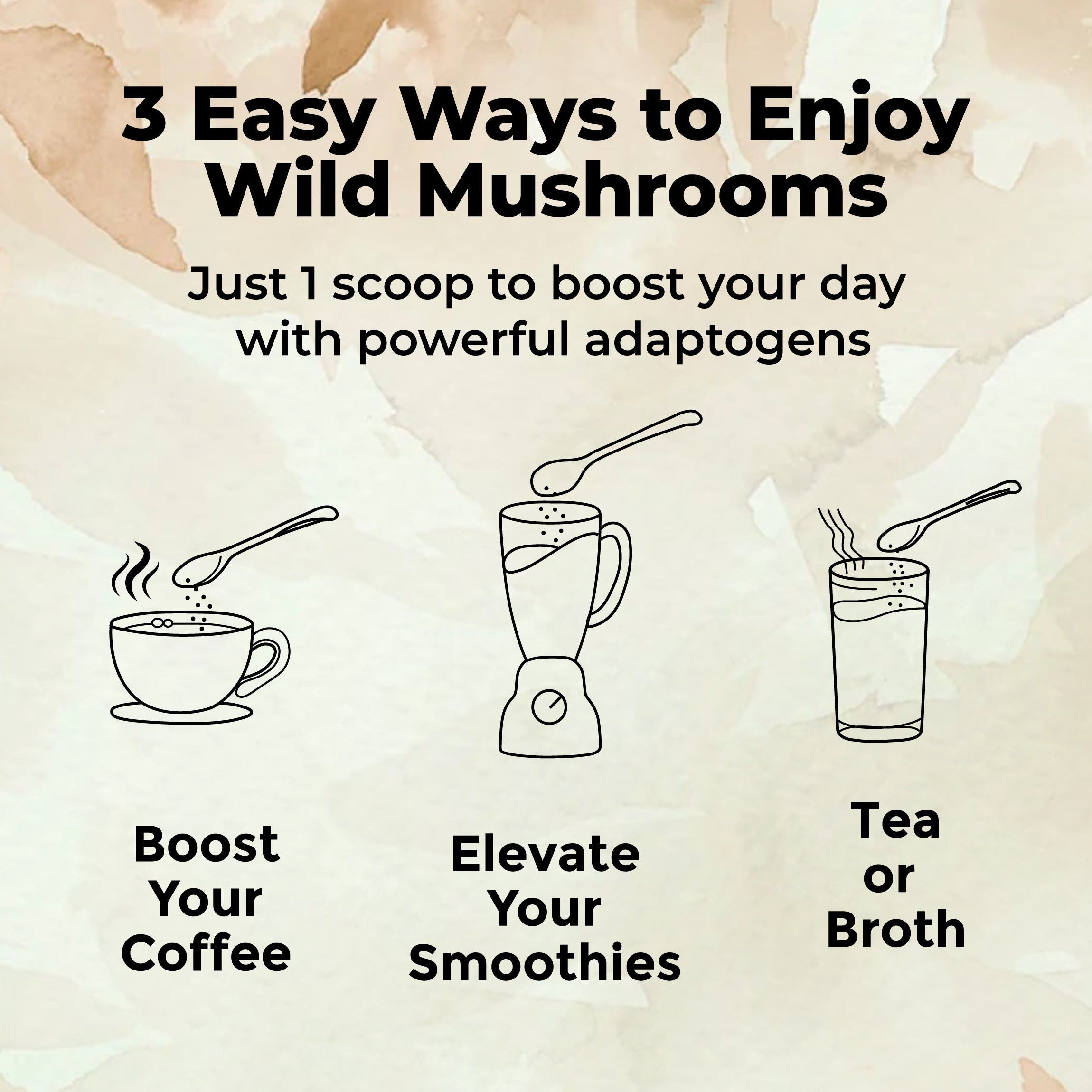 Master Shrooms Five Mushrooms Blend - Adaptogens + Prebiotic Powerhouse Mushrooms Wild Foods   